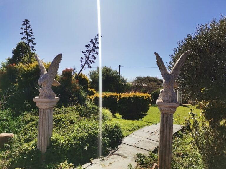 google photo 177 2 768x576