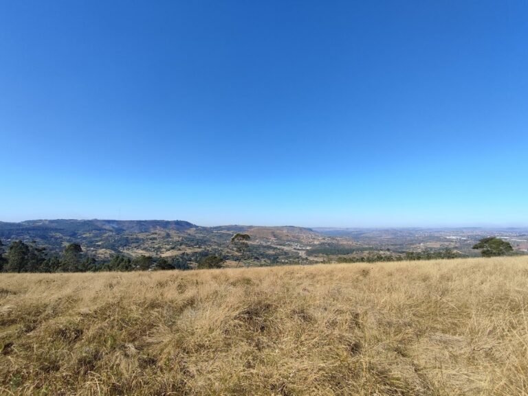 google photo 363 2 768x577