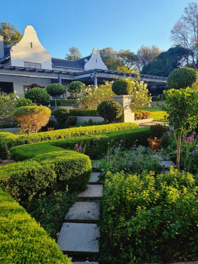 google photo 52 2 768x1024