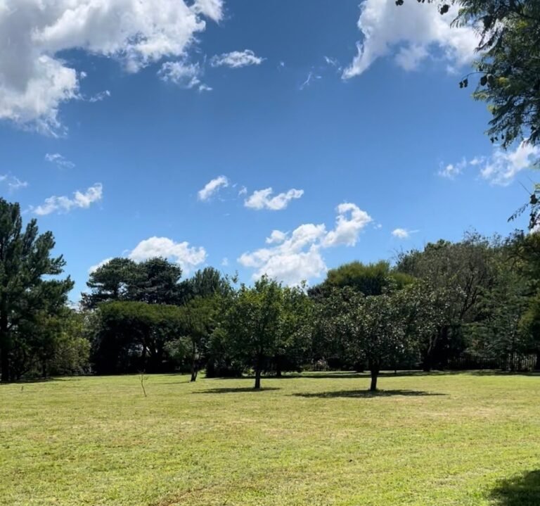 google photo 697 2 768x719