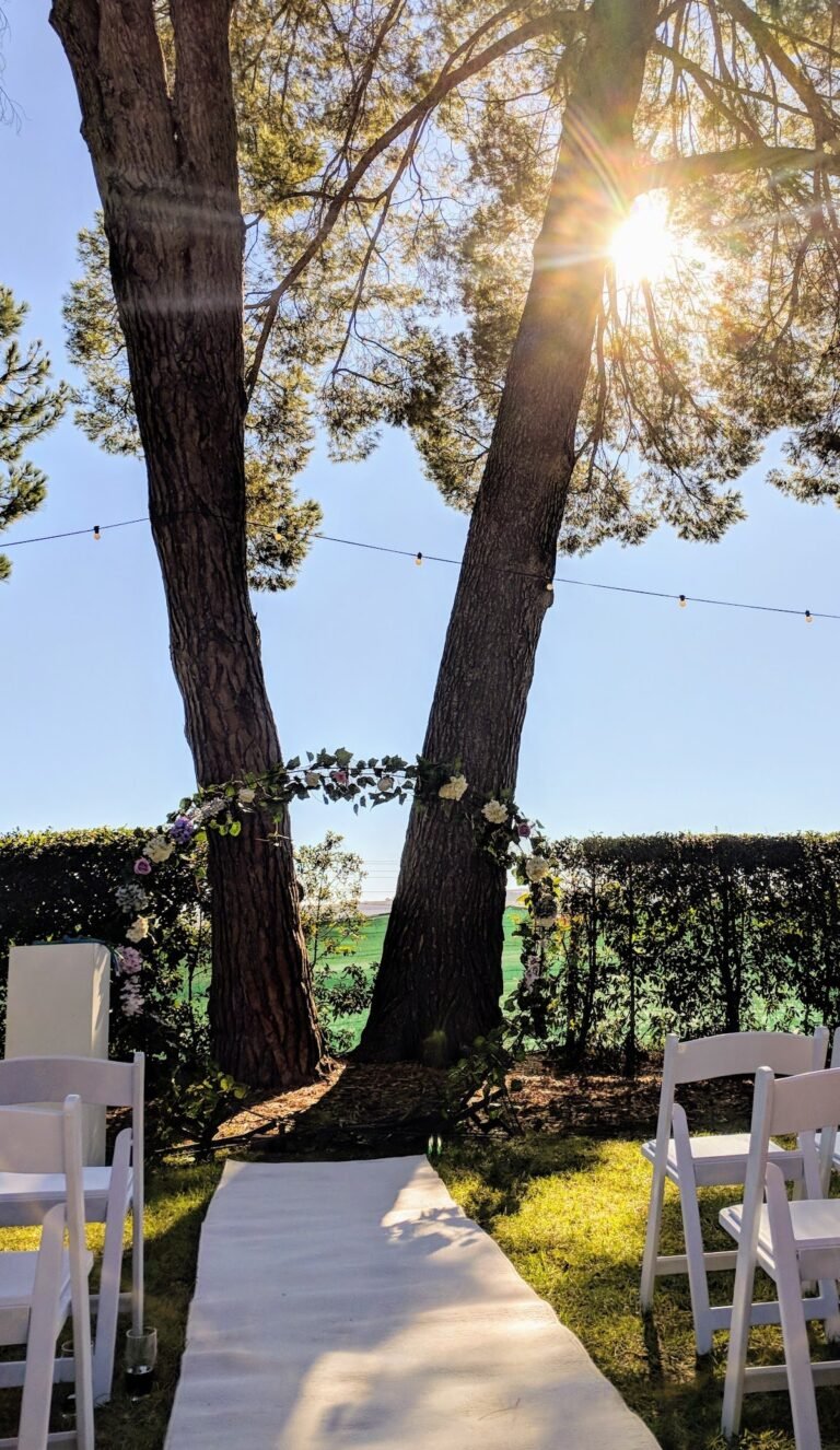 google photo 729 1 768x1326