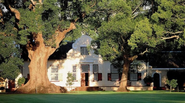 Vergelegen Wine Estate 768x427